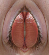 urbwuc avatar